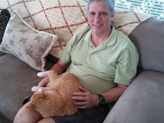 cat pumpkin on my lap