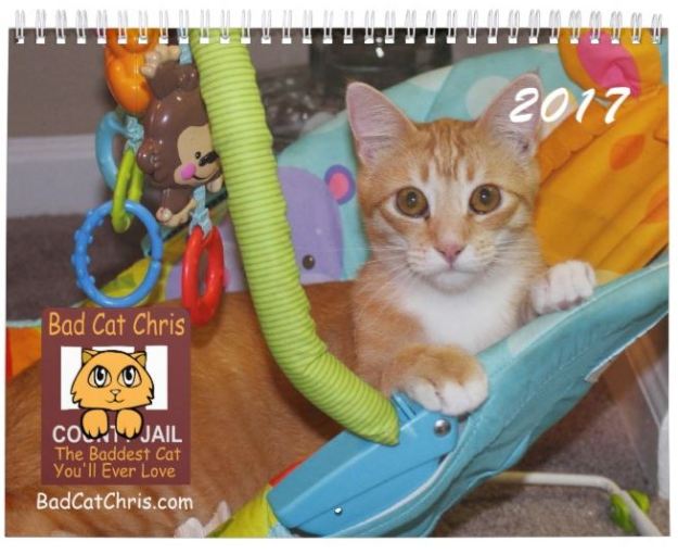 Bad Cat Chris calendar