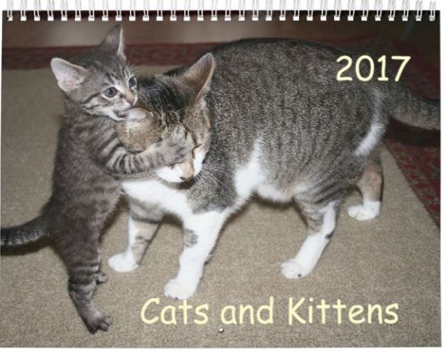 Cats and Kittens calender