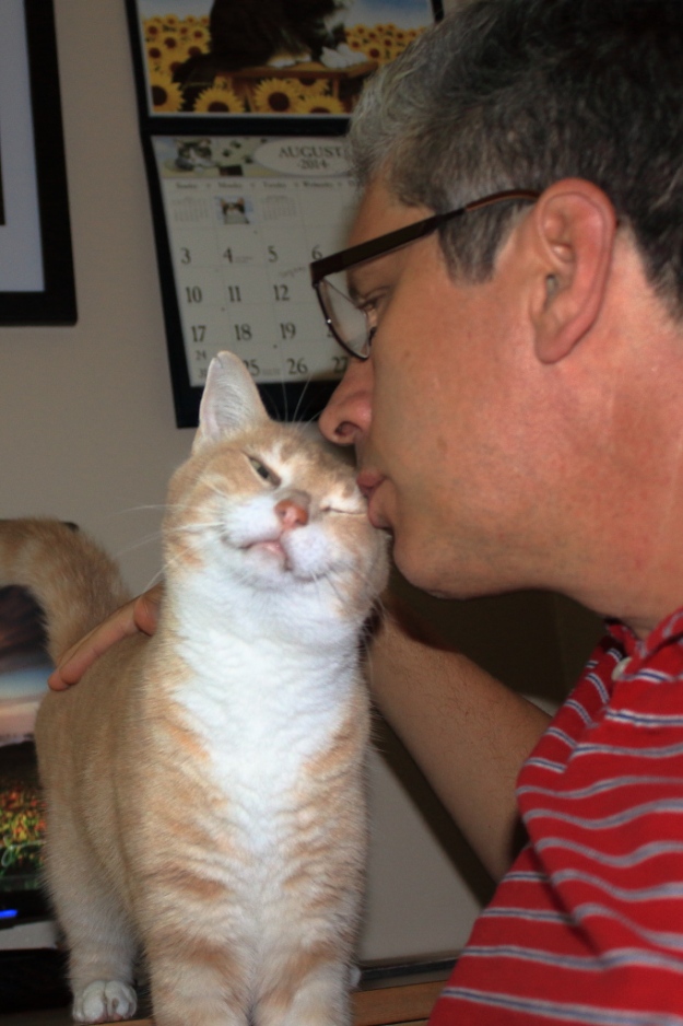kiss a ginger cat