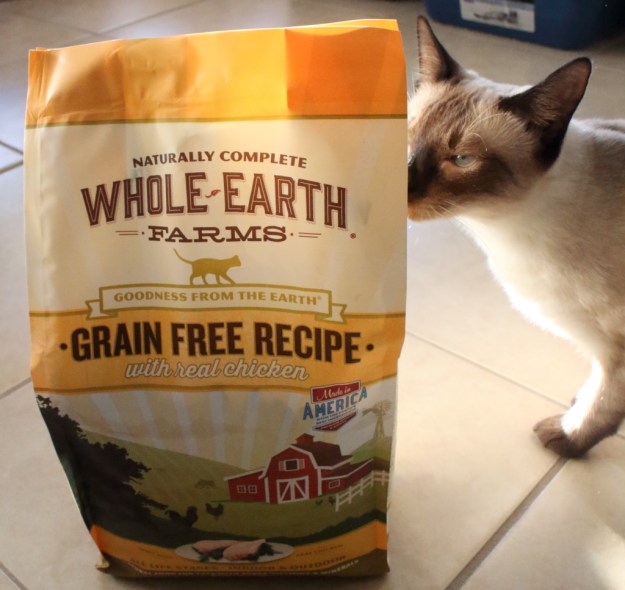 20170130_cat-food_0804