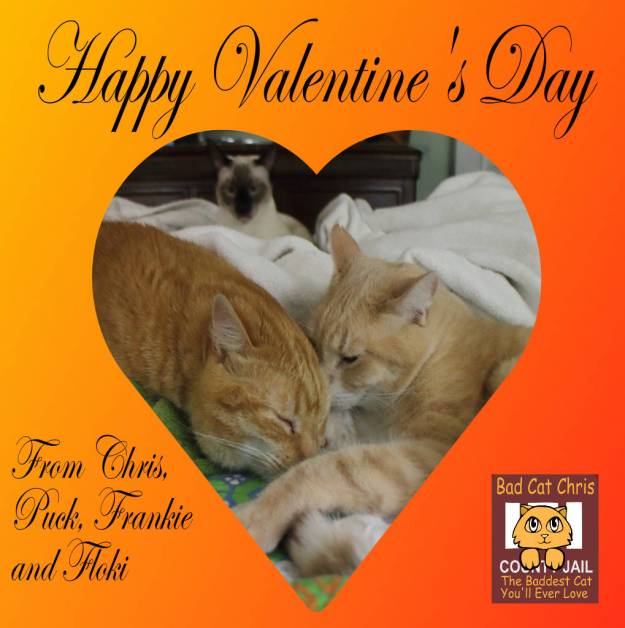 Happy valentine's day