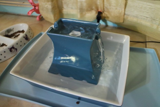pet water fountain