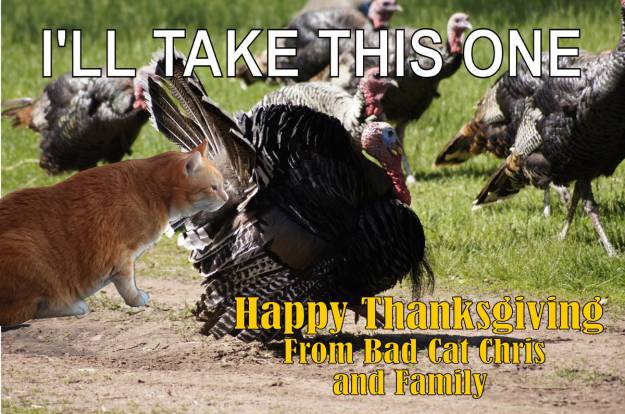 Happy Thanksgiving