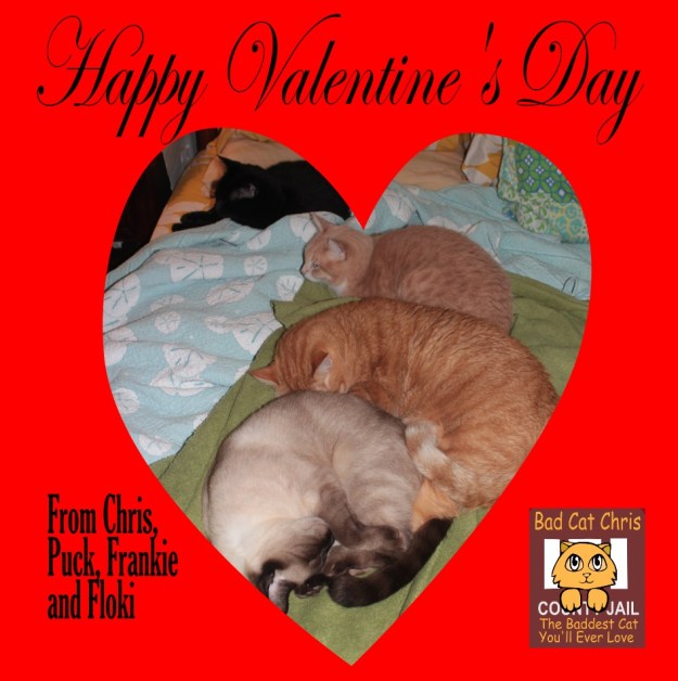 happy valentine's day