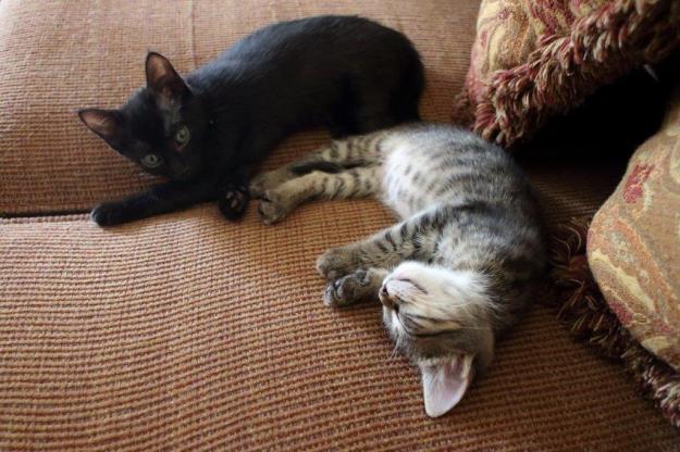 20150905_Felice's house_090