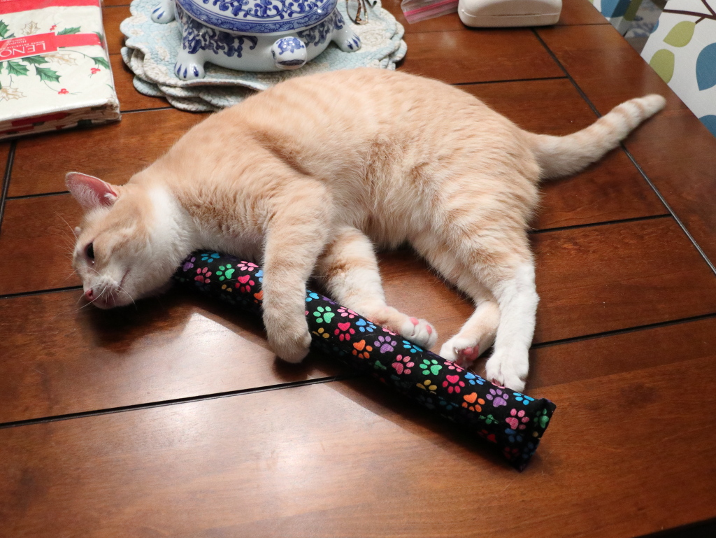 cat with kitty kick styx