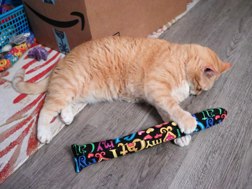 cat with kitty kick styx