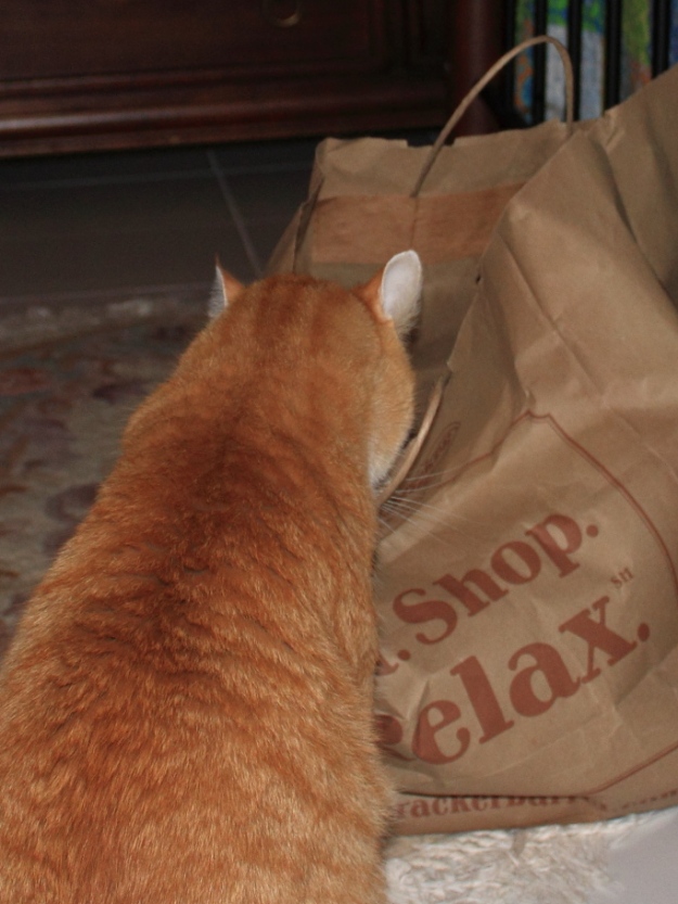 Our cats Frankie and Chris fighting over paper bag.