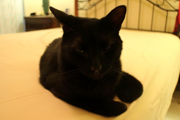 I have to move again? Are you really not done yet? What's taking so long?