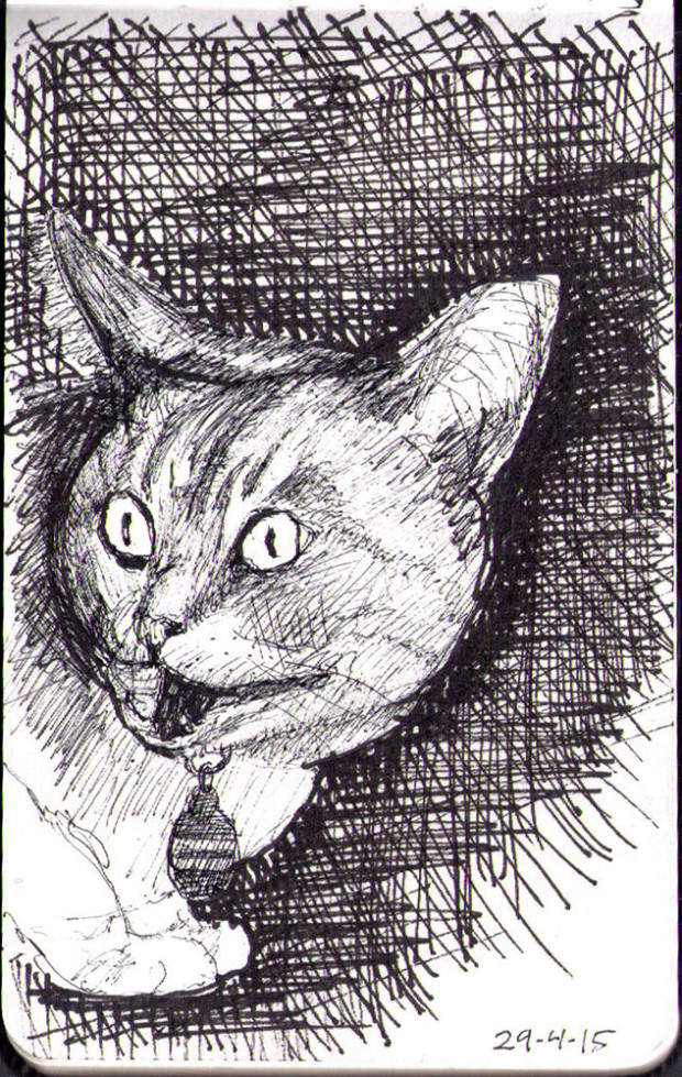 2015_04_29 Frankie - Drawn by Thomas from onedrawingdaily dot com