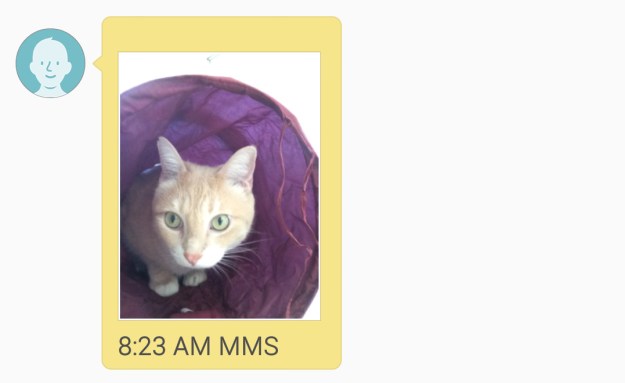 Screenshot_2015-10-10-06-22-07