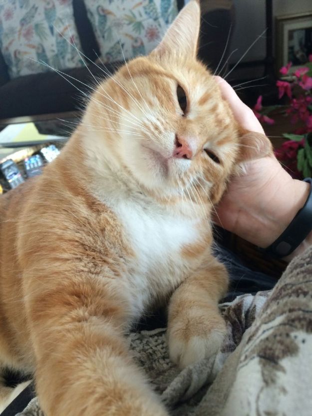 IMG_18881.jpeg image