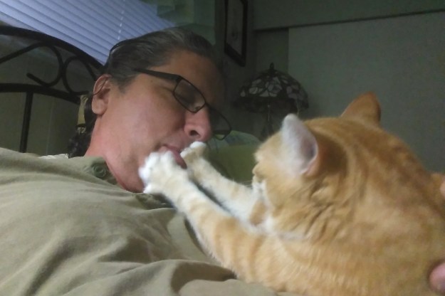 Chuck and Bad Cat Chris