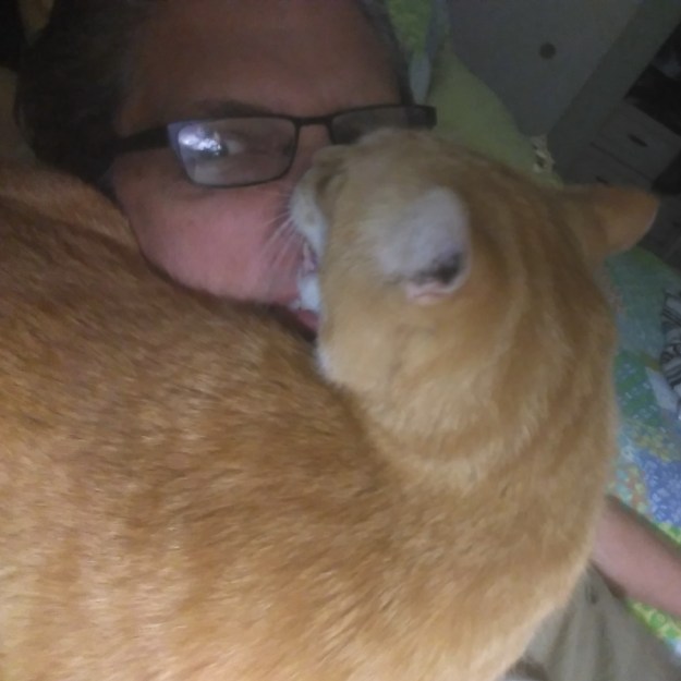 Chuck and Bad Cat Chris